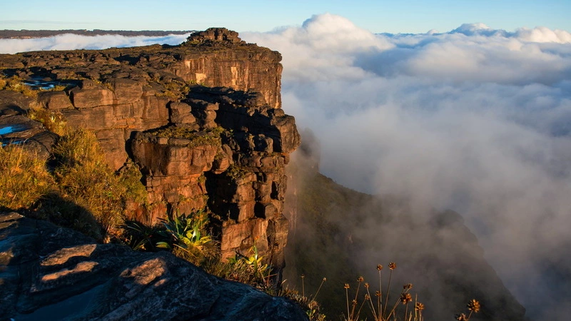 Гору Рорайма в Венесуэле покорили сахалинские путешественники