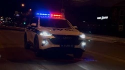 Сахалинские инспекторы ГАИ задержали более 120 человек на длинных выходных 