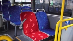 Бесплатный проезд для сахалинцев старше 70 лет стал электронным