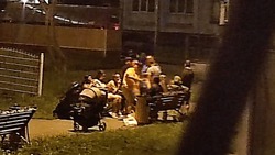 Пьяные люди с младенцами на руках полночи ругались во дворе Южно-Сахалинска