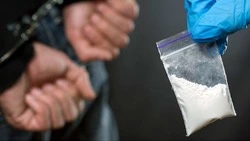 В Южно-Сахалинске у пассажира иномарки нашли мефедрон