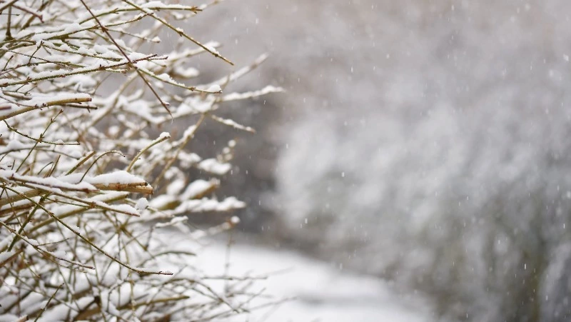 Снежную погоду спрогнозировали синоптики 5 ноября в Сахалинской области