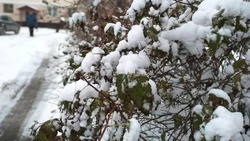 Снег и сильный ветер спрогнозировали синоптики в Сахалинской области 13 февраля