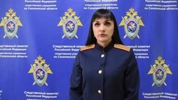 Экс-начальнику отдела больницы в Смирных грозит срок за мошенничество