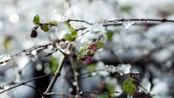 Ясно и до +6: прогноз погоды в Южно-Сахалинске на 22 марта 