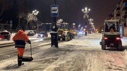 Больше 100 человек вышли на расчистку Южно-Сахалинска