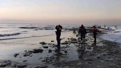 День матери и пропавшие рыбаки: новости выходных на Сахалине и Курилах