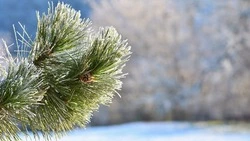 Народные приметы на 2 февраля 2024: что нельзя делать в этот день