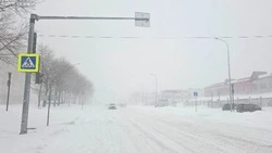 Снег выпадет в Южно-Сахалинске в ночь на 13 марта 