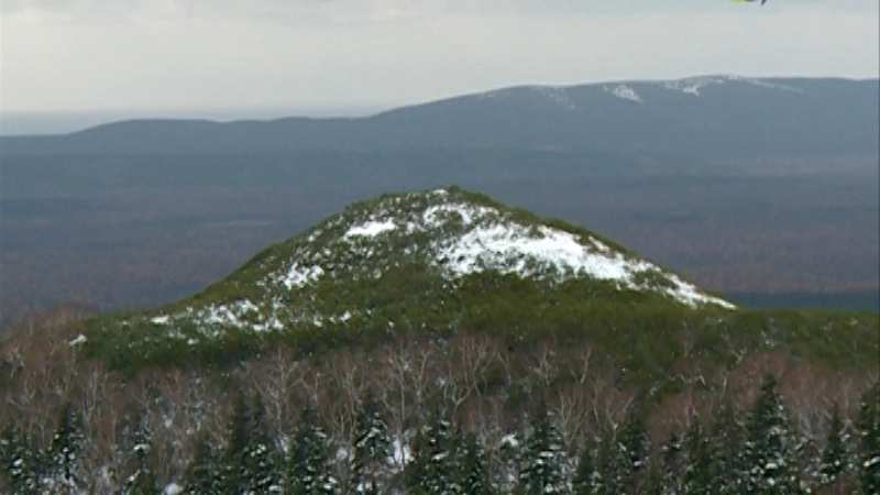 Заказник «Северный»