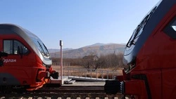 Составность поездов между Южно-Сахалинском и Томари увеличат до четырех вагонов 15 и 16 апреля