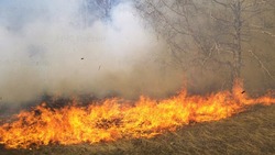 Еще три возгорания сухой травы ликвидировали на Сахалине