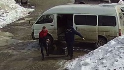«Нет моральных сил»: приют «Пес и Кот» в Южно-Сахалинске просит опознать людей, подбросивших щенков
