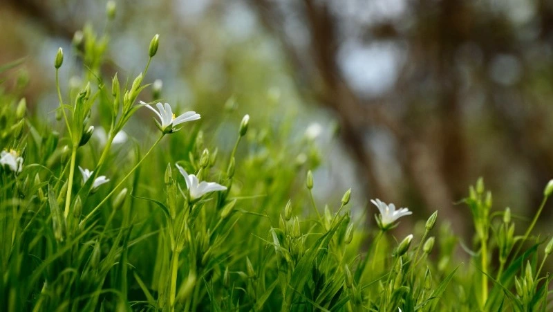 Народные приметы на 21 мая: что нельзя делать в день Иоанна Богослова