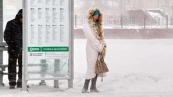 Жители Южно-Сахалинска замерзли в ожидании автобуса № 11 утром 20 декабря
