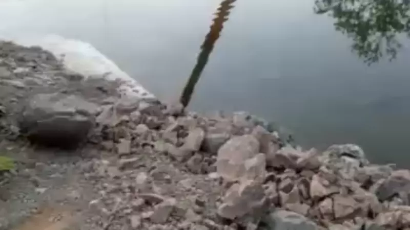 Речку в сахалинском селе перегородили рыбодобытчики