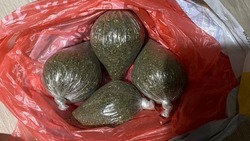 Крупный запас марихуаны нашли полицейские у жителя Южно-Сахалинска