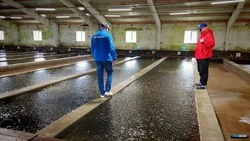 Отечественные комбикорма на Сахалине показали выживаемость лососей на уровне 99%
