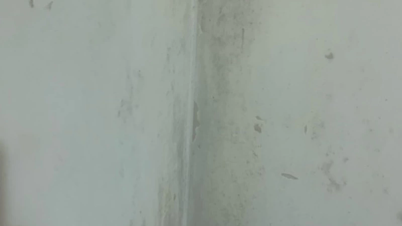 Управляющая компания Южно-Сахалинска отказалась делать ремонт в доме с плесенью