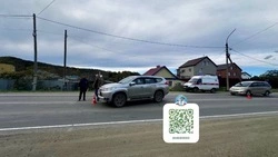 Водитель Mitsubishi сбил женщину на трассе Южно-Сахалинск — Холмск