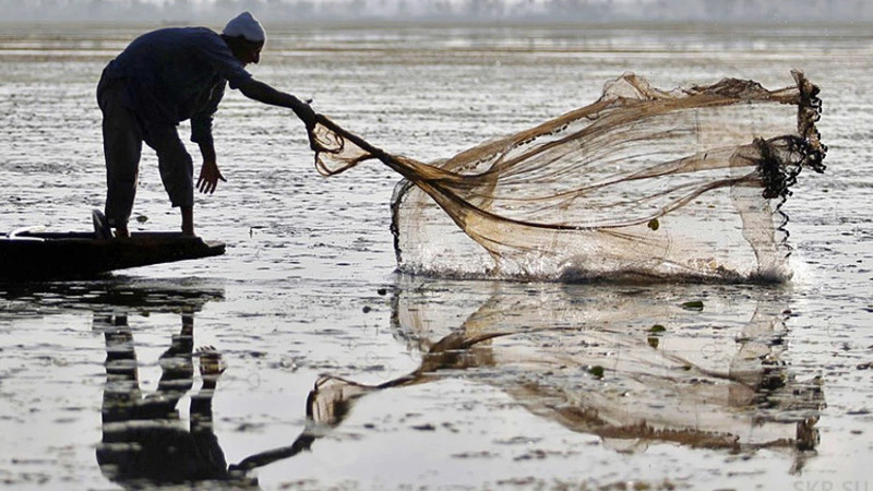 Скандал с сезонными рабочими обсудили на Сахалинском рыбохозяйственном совете