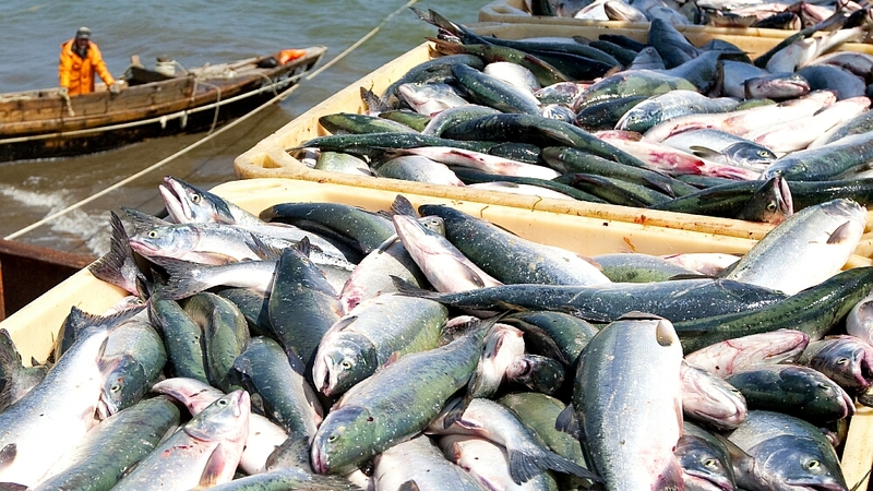 Кому это выгодно?