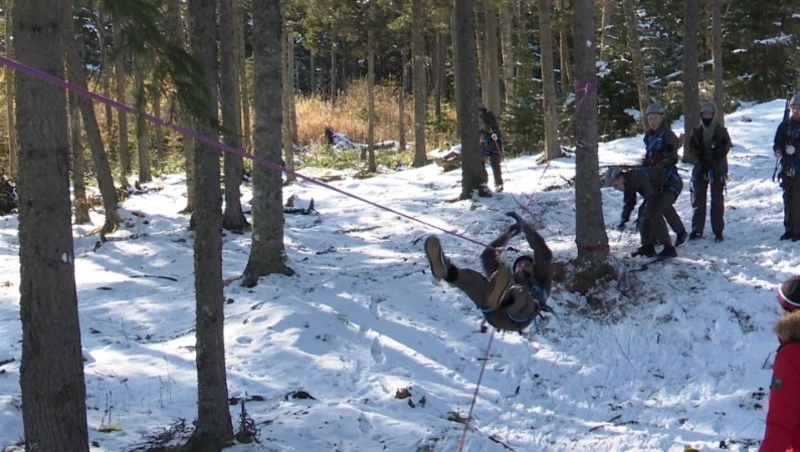 Центр содействия семейному устройству «Феникс» в селе Красногорск
