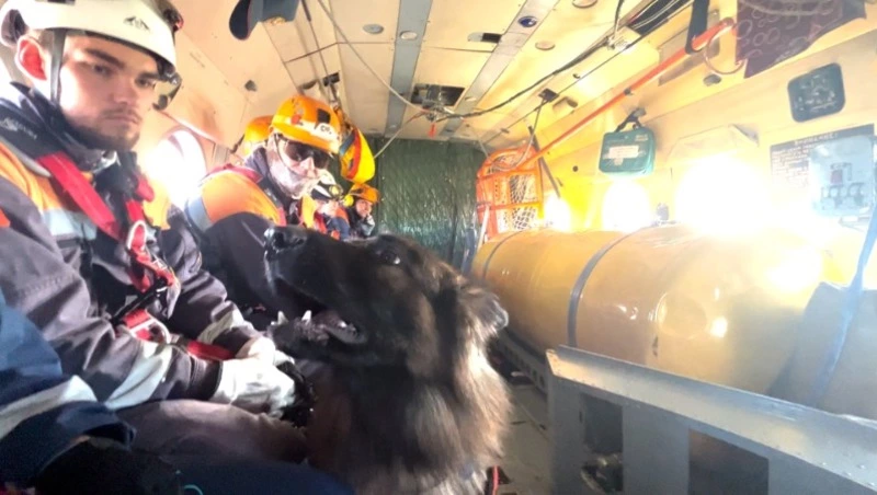 Кинологи отработали спуск с воздушного судна с собаками - Центр внимания 11.10.23