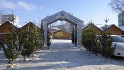 Карту елочных базаров создали для жителей Южно-Сахалинска