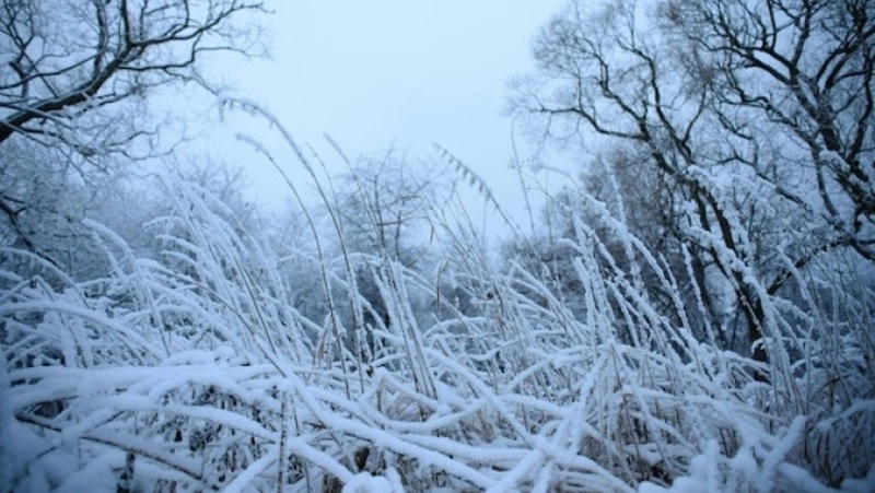 Сильный ветер и мороз до -28 градусов прогнозируют на Сахалине и Курилах 20 декабря