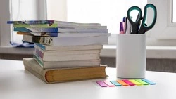 Школы Корсакова и Томари перейдут на дистант из-за метели 28 января