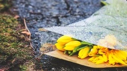 Дождь и до +9 градусов: прогноз погоды в Южно-Сахалинске на 26 апреля 