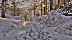 До -15°С,  небольшой снег: погода в Сахалинской области на день 3 марта