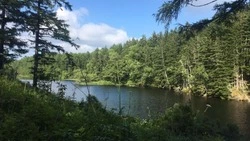 Отдых на озере для жителя Корсаковского района закончился смертью