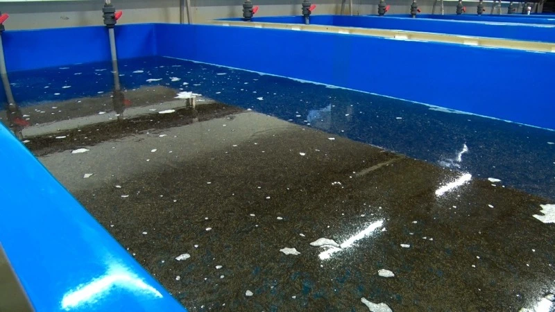 В Холмске придумали, как обеспечить жителей свежей и доступной рыбой