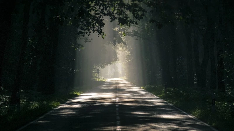 Спасатели отправились в Смирных на поиски двоих пропавших мужчин