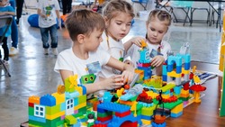 Юные сахалинцы представят регион на национальном этапе соревнований по LEGO