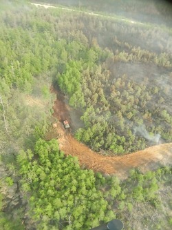 Огромный лесной пожар в Охинском районе тушат 50 человек 