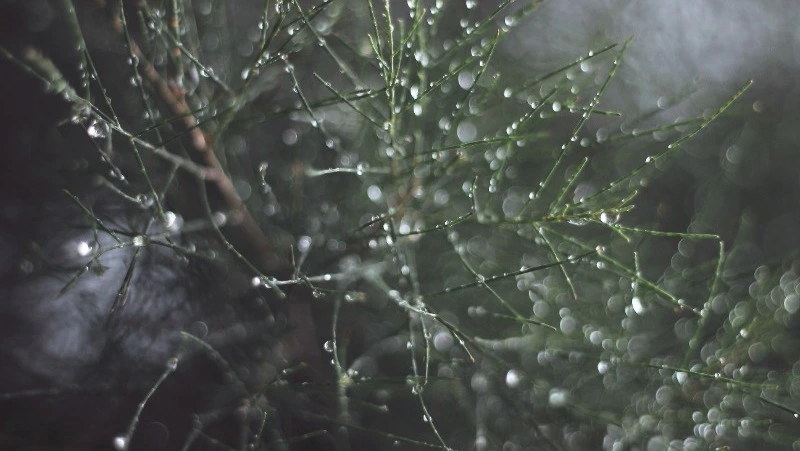 Снег на Сахалине и дождь на Курилах прогнозируют синоптики 28 ноября