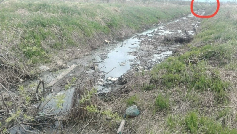 Пищевое производство в Южно-Сахалинске сбросило кучу фекалий в Сусую