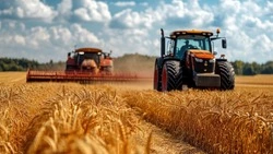 День работника сельского хозяйства 2024: история и традиции праздника, интересные факты