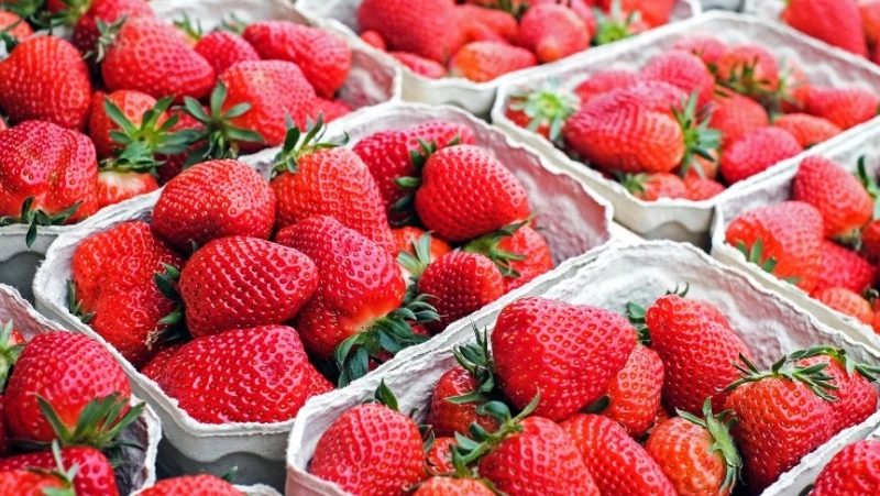 Жителей Сахалина предупредили об опасности немытой клубники