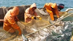 На Сахалине установят очередной РУЗ