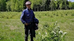 Канадская ягода прижилась на плантации сахалинского фермера