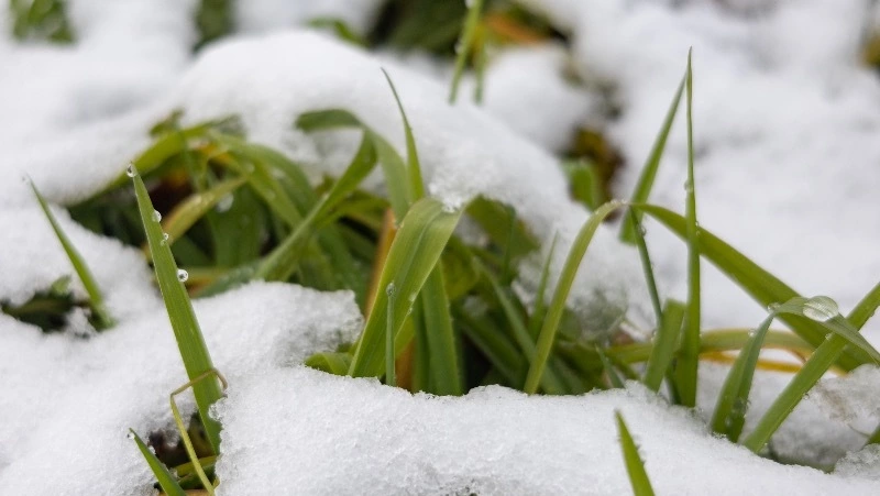 Снег и ветер спрогнозировали синоптики в Южно-Сахалинске 21 апреля 