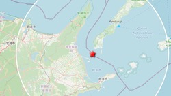 Небольшое землетрясение зарегистрировали на Южных Курилах