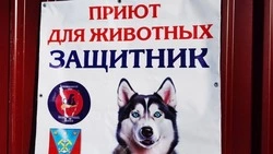 Директор приюта для животных Ян Завадский год не платил аренду за участок в Углегорском районе