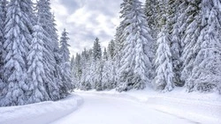 Участок дороги Южно-Сахалинск – Оха открыли для движения 