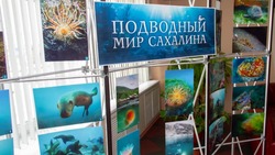 Фотографии подводного мира Сахалина представили в главной островной библиотеке 