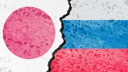 Посол РФ в Токио диагностировал у японского политистеблишмента историческую амнезию